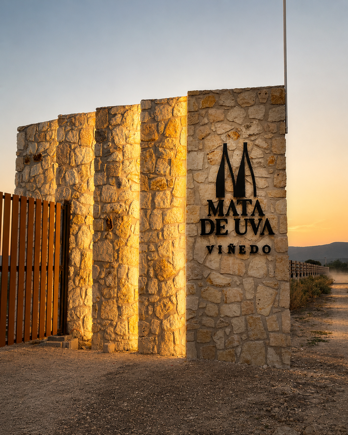 Galería Mata de Uva 01