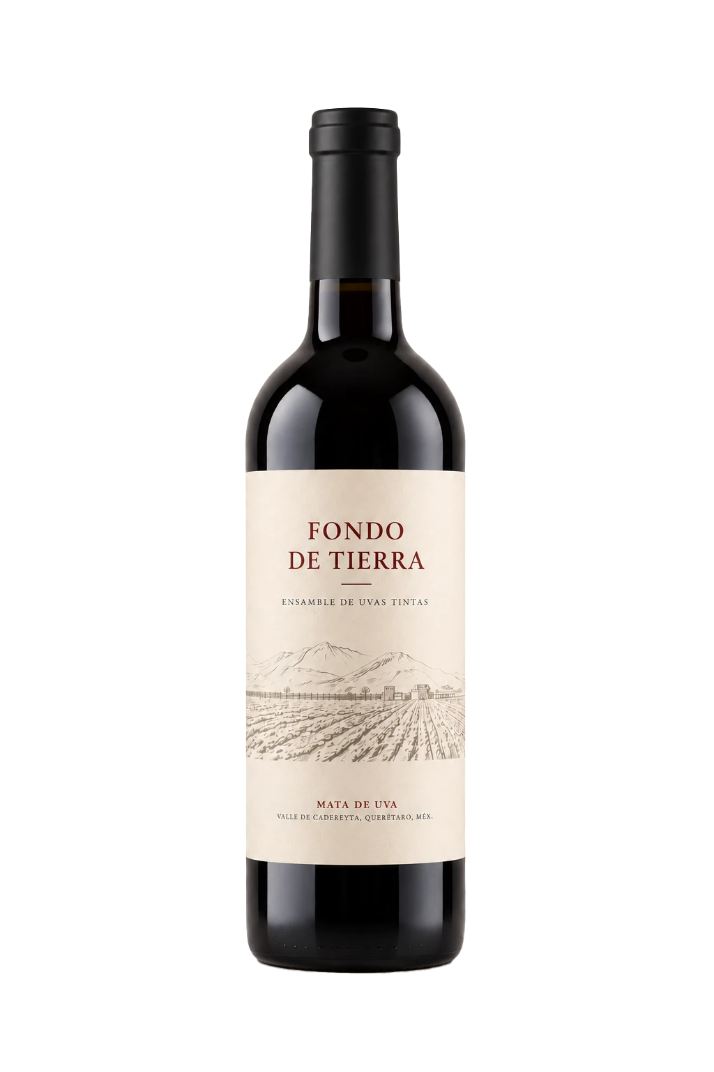 Botella de vino ensamble de uvas Fondo de tierra
